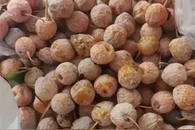 掉落地上的银杏果不要随便捡！图片