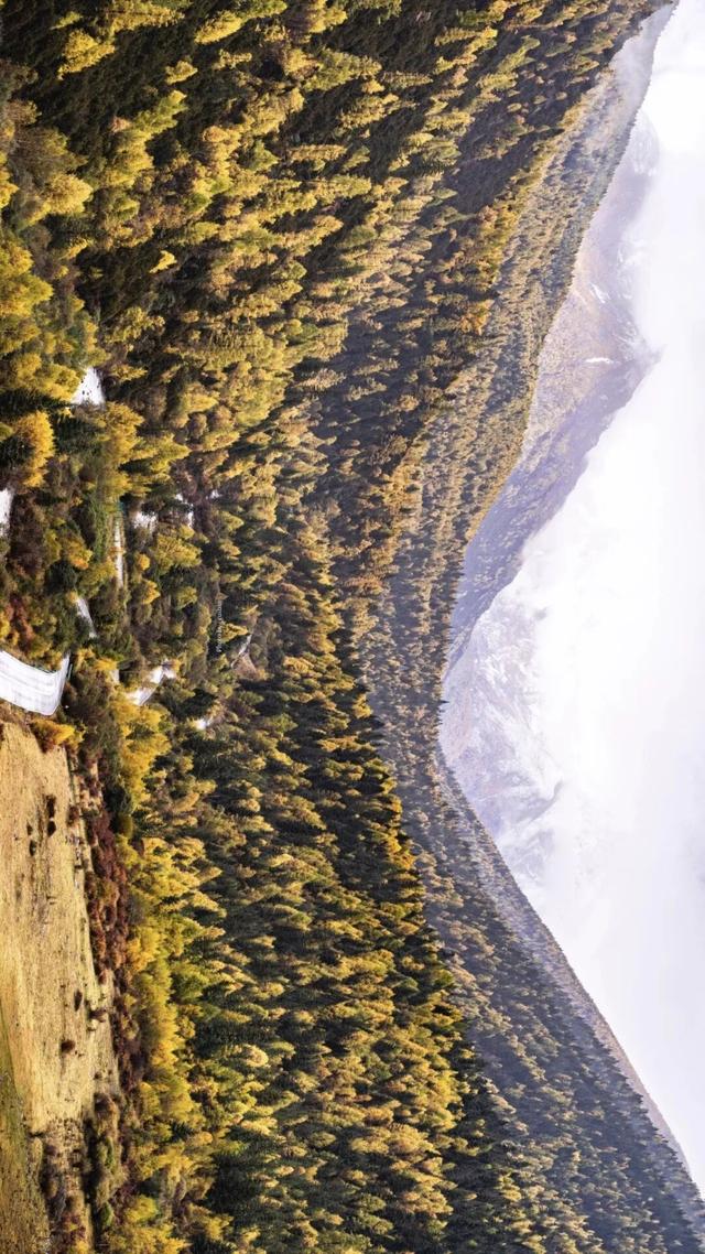 听说放秋假了？新都桥这波秋日余温太美了