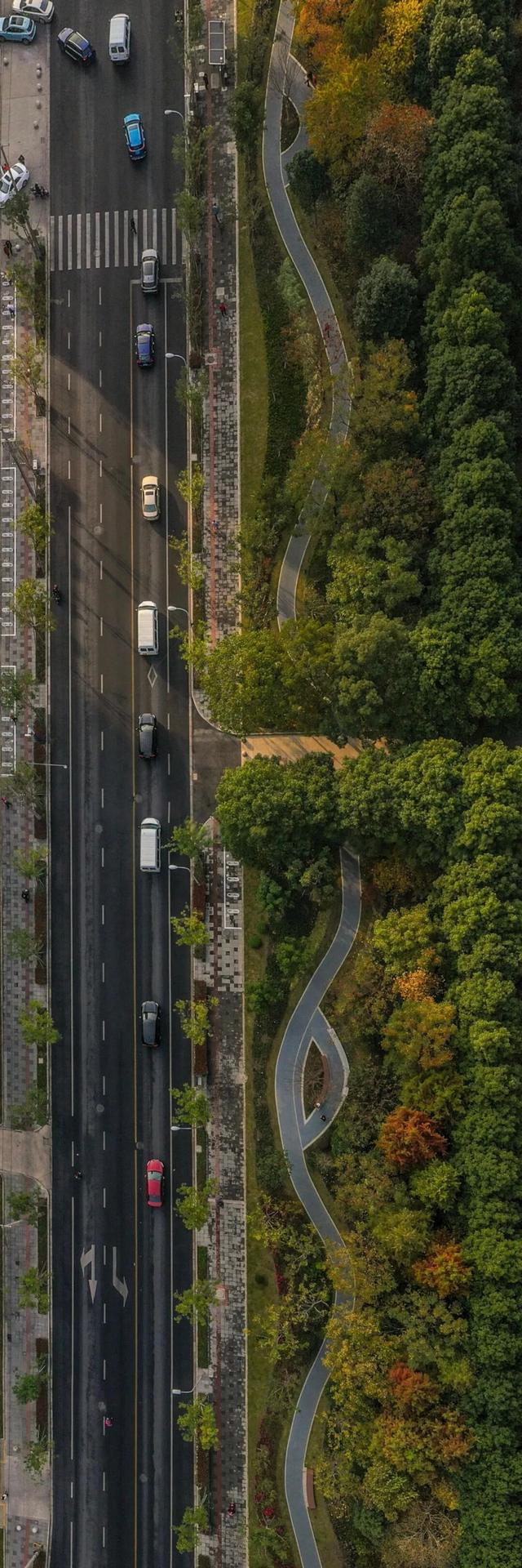 此时的桃浦，已经美成这样了……