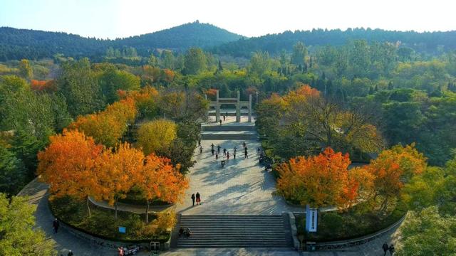 这里不止阿胶和玫瑰！济南平阴18处共享绿地 22公里绿道 逛公园成生活常态