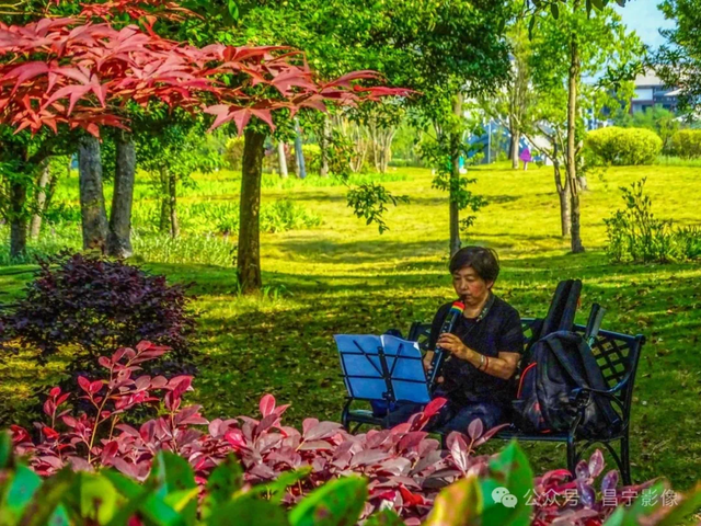 旅居云南·就想来昌宁｜夏日昌宁诗意浓