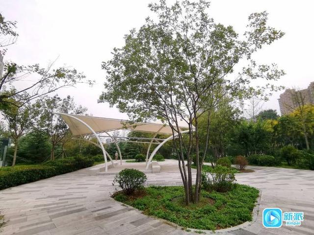 “潍”美游园 “坊”间探幽 | 府东花境：一“树”之隔 邂逅静谧时光