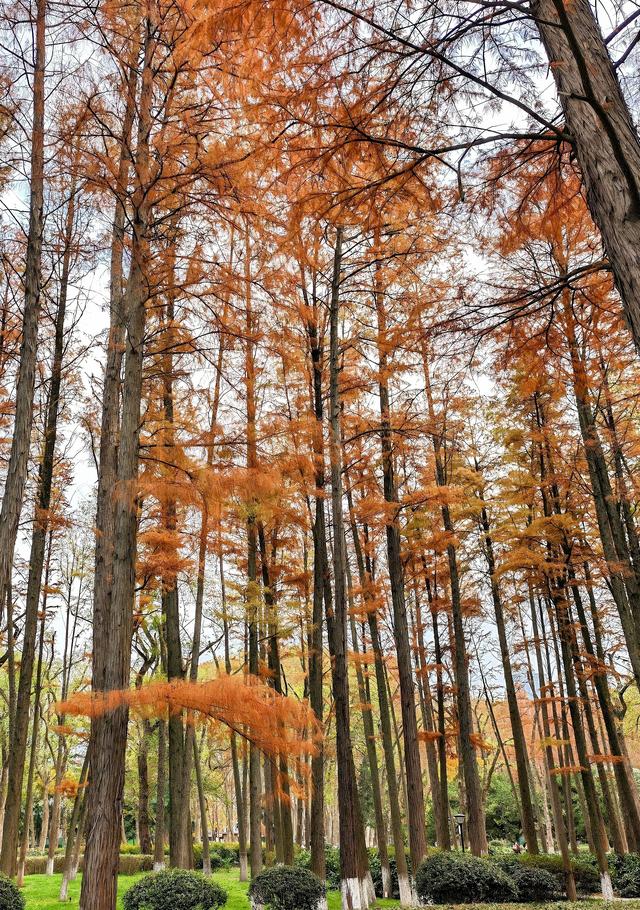 解放公园：在这里轻轻荡开双桨