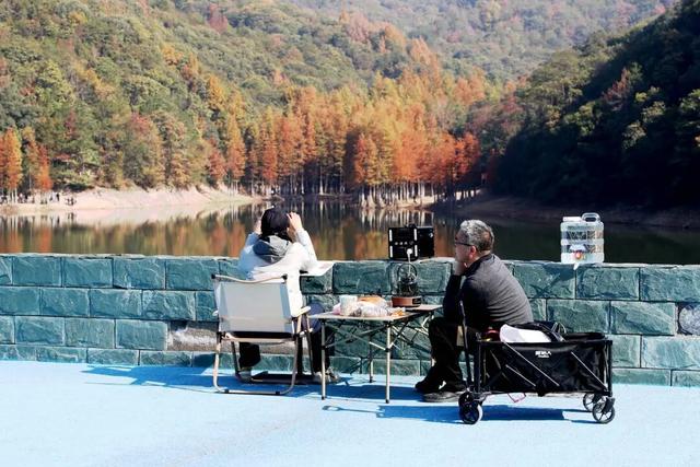 童话之约！义乌“小九寨”水杉林迎最佳观赏期，随手一拍就是壁纸