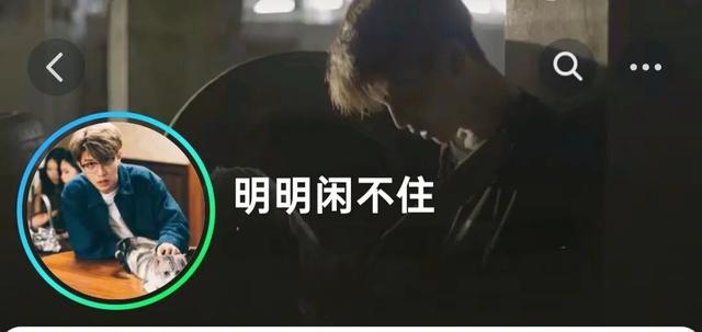 多位外籍网红博主“打卡”阳江