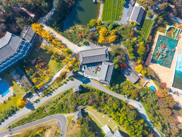 随手拍都是“壁纸”风光！武汉黄陂清凉寨银杏已黄、红叶已红，进入最佳赏秋期