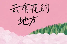 新书|“菜场女作家”今朝去追花，一次“出走”重获在柴米油盐中扑腾的勇气图片