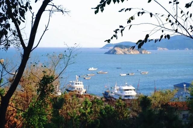 “鸥”遇环翠 “雪”舞浪漫丨威海这个地方，来一百次也不会腻