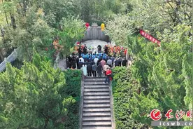 以柳为媒，山河情深图片