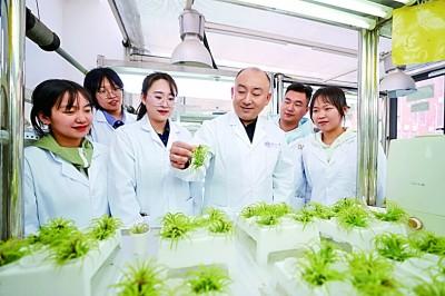 聚焦国家重大战略需求，展现更大作为