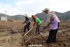 【高质量发展调研行】贵州威宁：产业结构调整促发展图片