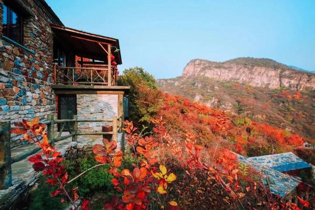 太美了！北京这里的“漫山红叶”推窗即揽！（文末送福利）
