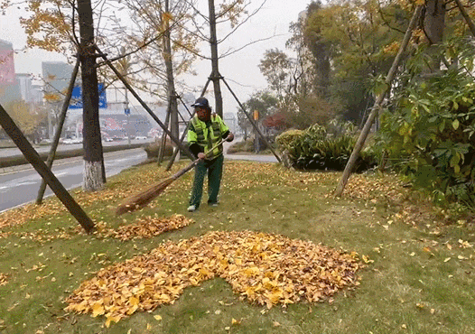 落叶缓扫，诗意长留！彭州的秋天被“绣”在了大地上