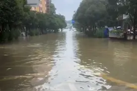 “希望都平安！”江西女子抽中出行盲盒去广西旅游，3点到桂林4点就“逃”了图片