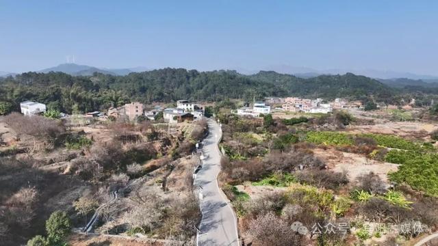 宾阳陈平名山梅花盛放！1月10日，共赴一场暗香浮动的花期