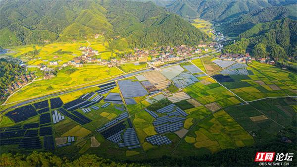 湖南通道侗寨：金秋“丰”景，藏在山水间的诗意画卷