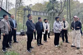 政协吉安市委员会在吉安县天河镇调研林下经济发展工作图片