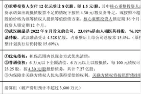 ST中安成功“摘帽”，控股股东部分持股再遭司法拍卖图片