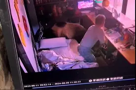 棕熊凌晨扒门进酒店翻找食物，熟睡男子吓醒逃跑，老板：离熊最近的一次，有惊无险图片