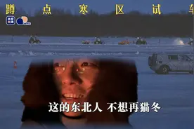 这儿的东北人，不想再“猫冬”丨相对论图片