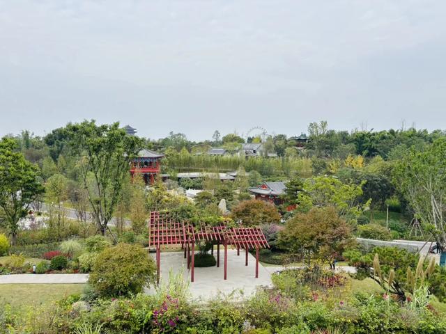 成都唯一“世界级”公园,以前门票120元,现在免费,唯一缺点就是远