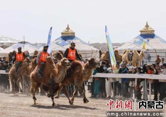 2025阿拉善重点文旅活动，带你邂逅“醉”美秋天