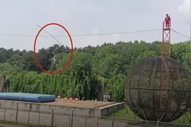 吉林东北虎园“高空走钢丝”演员高空坠落送医，园方：暂停马戏嘉年华表演图片
