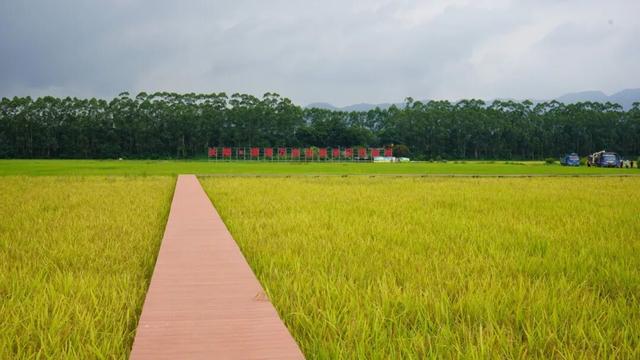11月7日，邀你共赴秋日之约！