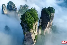 避暑康养到湖南⑧丨张家界国家森林公园&崇山：峰林峡谷间寻清凉秘境图片