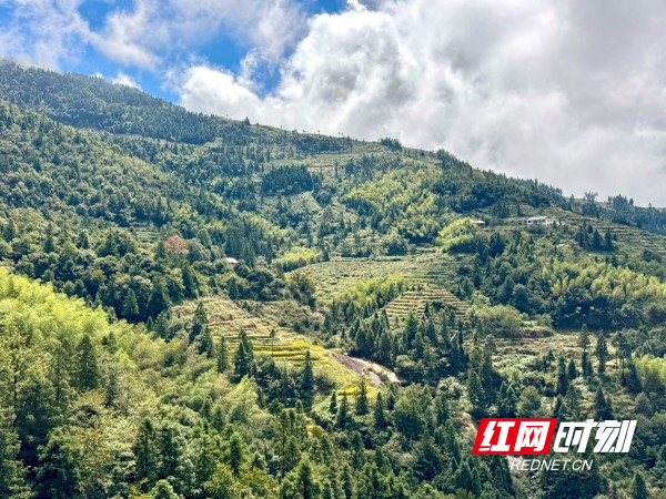 2小时➡️23分钟 “全球最长高山索道”雪峰山索道启动试运营