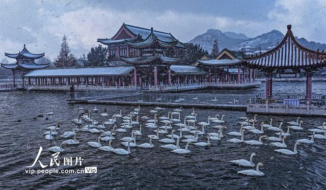 山东荣成：冰雪为墨 冬景如画