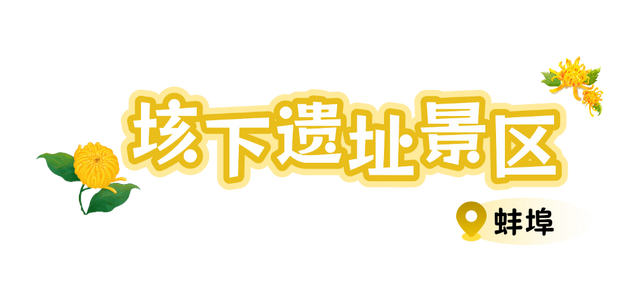 别只惦记红叶了！安徽的秋天，是五彩斑斓的！