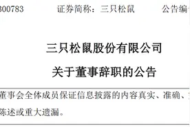 三只松鼠股份有限公司董事杨嵘峰、吴斌辞职图片