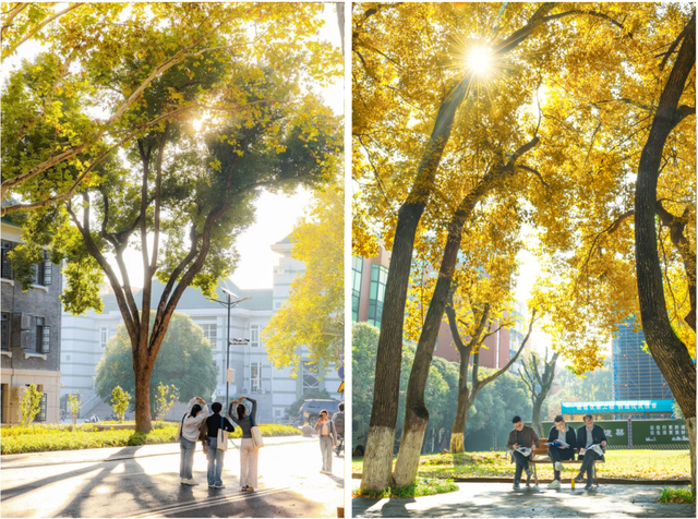 最好的秋天，在华师！