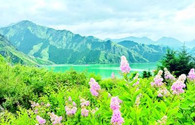 在新疆，一路风景一路歌