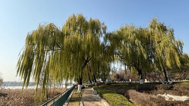 新视界｜莱芜西海公园：汶水西流处 万千气象新