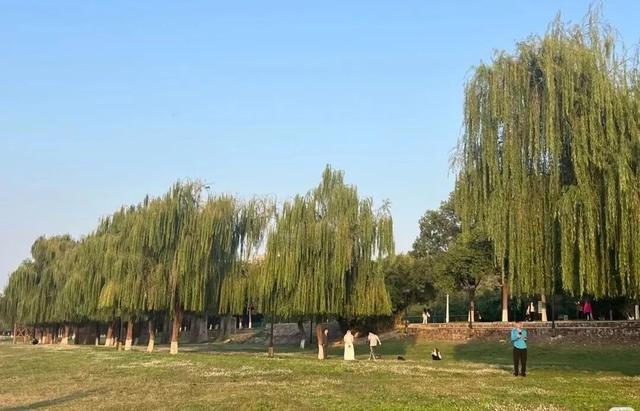 明天放晴！一口气3个好消息