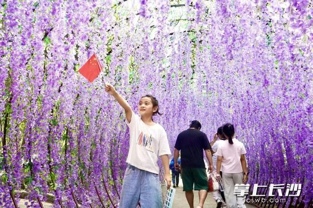 组图｜紫色花廊上线，石燕湖打造假日游玩新体验