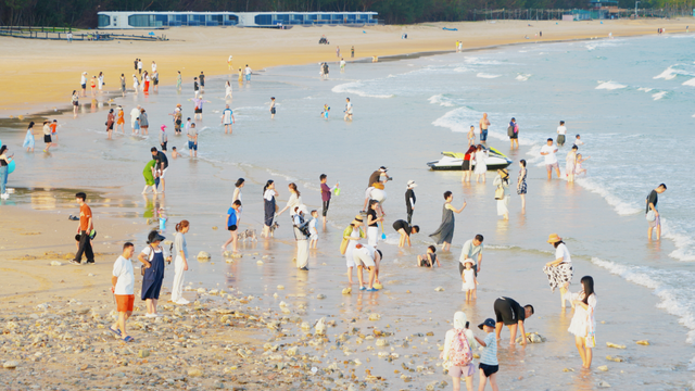 央视关注，数据亮眼！陵水“双节”县域旅游出圈