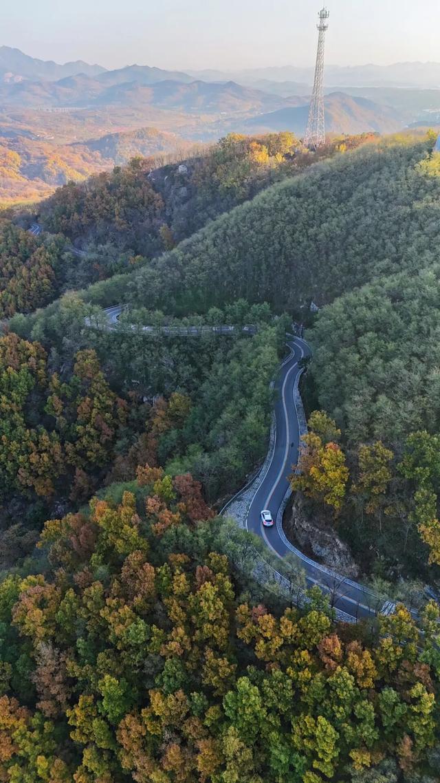 璀璨斑斓！日照这条路，现在美到不像话！