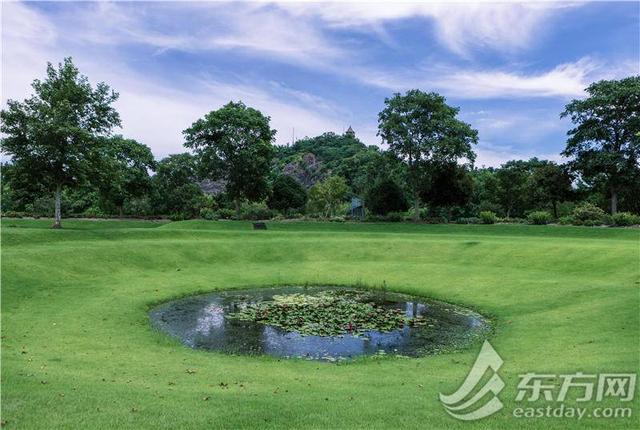 辰山植物园睡莲展即将开幕，七大展区全攻略