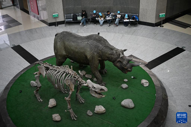 校馆弦歌·新华图库丨走进西北农林科技大学博览园