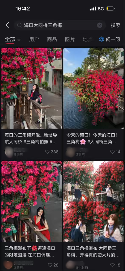 海口新晋打卡点？海口大同桥，因为TA火了→