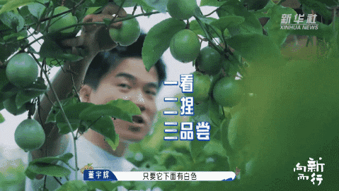 新华社携手董宇辉，走进广西的蔚蓝海岸……