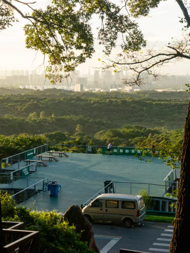 周末，去“捡秋”！