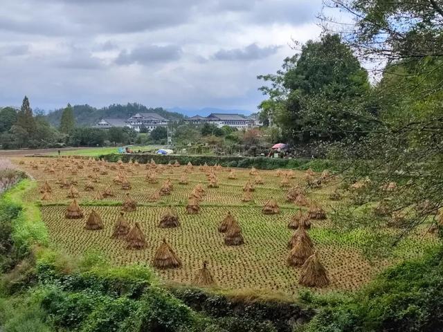 游天台山日记 + 椒江西山小行记