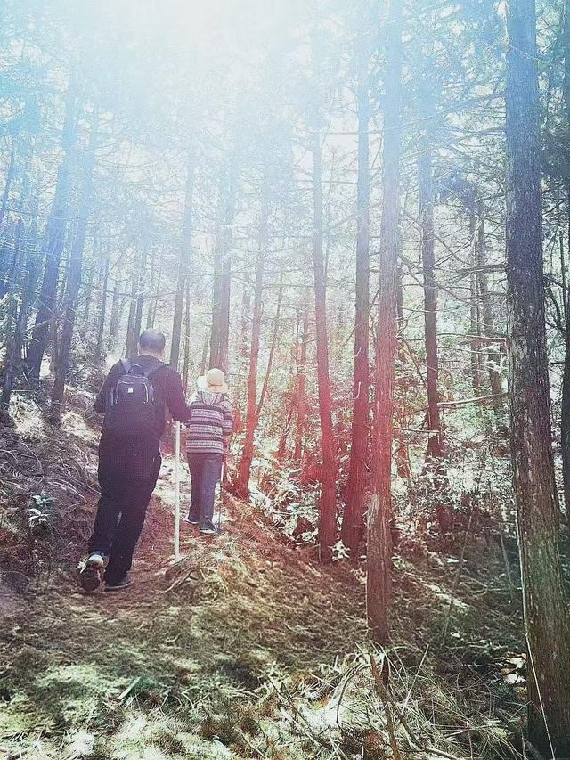 晚潮｜古方塘记：惊鸿一瞥，千年碧蓝