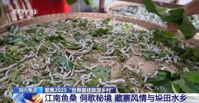 自然文化各具特色 这4个“最佳旅游乡村”讲述怎样的中国故事？