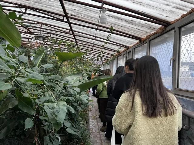 寒假限定｜1月16日~21日哈师大附中喊你免费玩冰