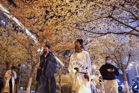 穿越千年共赴樱花之约！李白、杜甫济宁巡游赏花图片